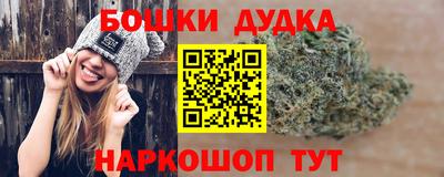 индика Бузулук