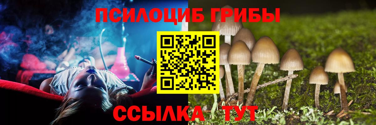Псилоцибиновые грибы мухоморы Красноармейск