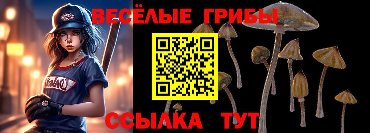 Красноармейск  Галлюциногенные грибы GOLDEN TEACHER  Вход с VPN 